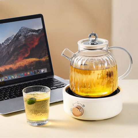 LINORX™ Glass Health Kettle